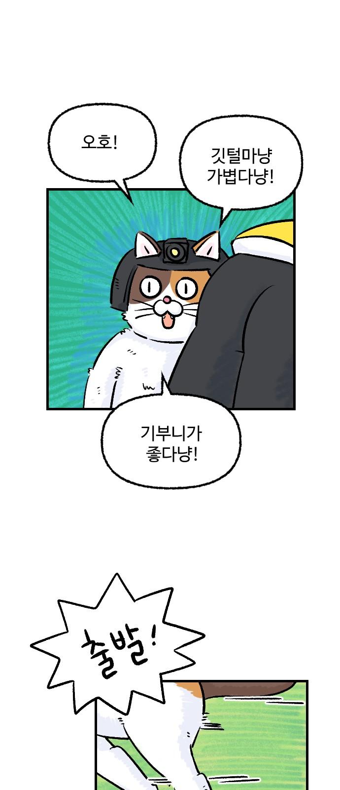 1735859162288htk7dmsy17m.jpg