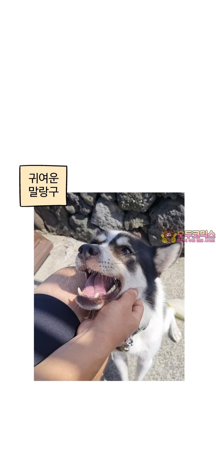 1740628271875l0shaxi6pjp.jpg