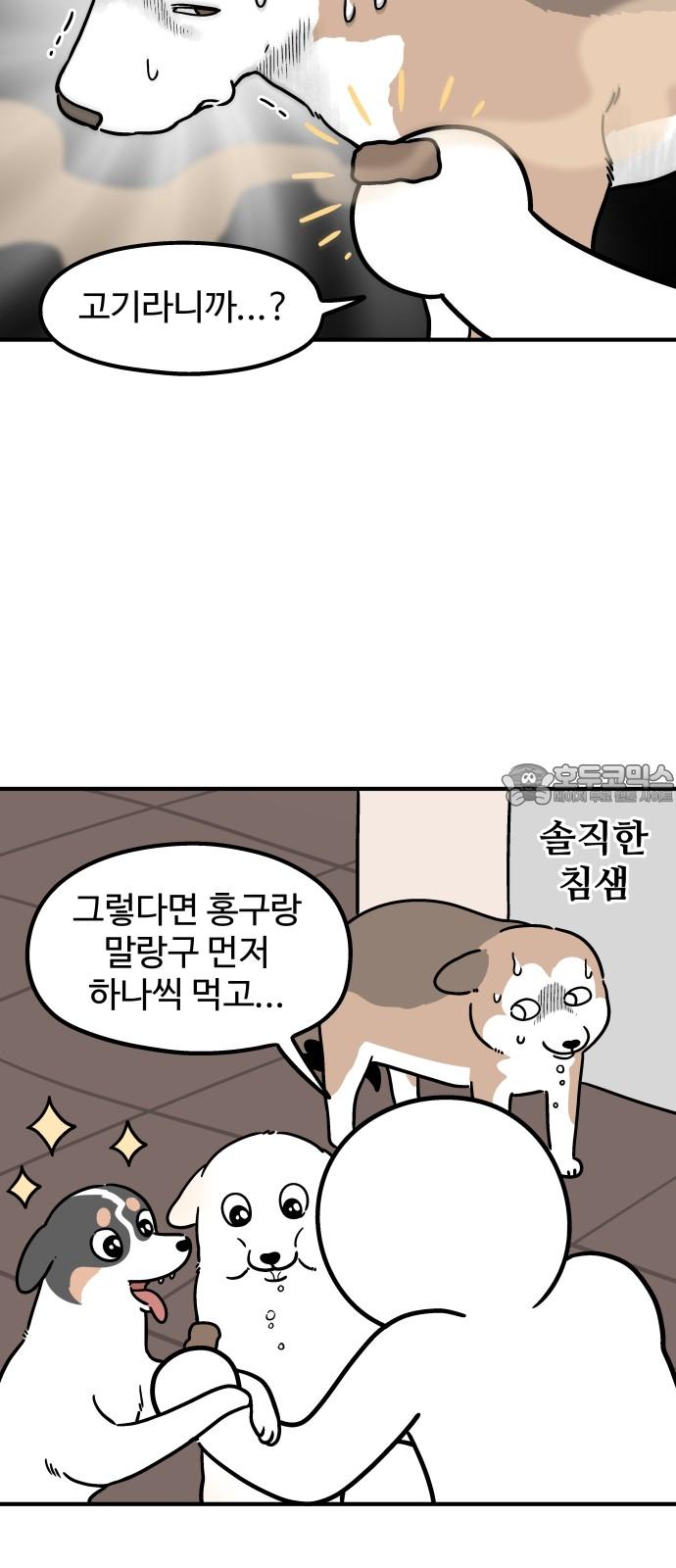 1744558229137f9gy0c54awb.jpg