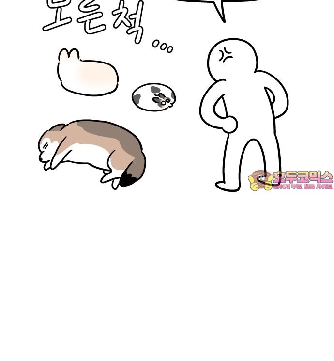 1744558230374q61znx1naxa.jpg