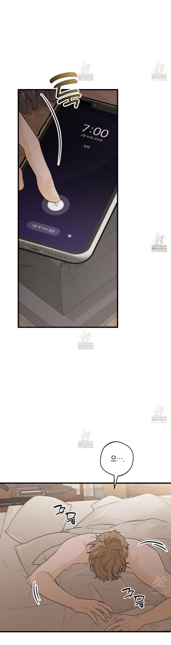 1747089903830sic2h4ydp7o.jpg