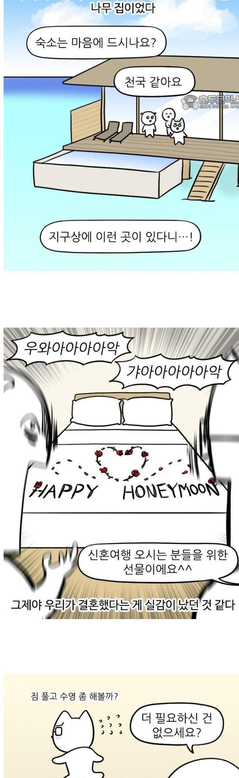 1747344844470ncn77msgirn.jpg